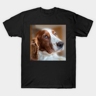 Welsh Springer Spaniel T-Shirt